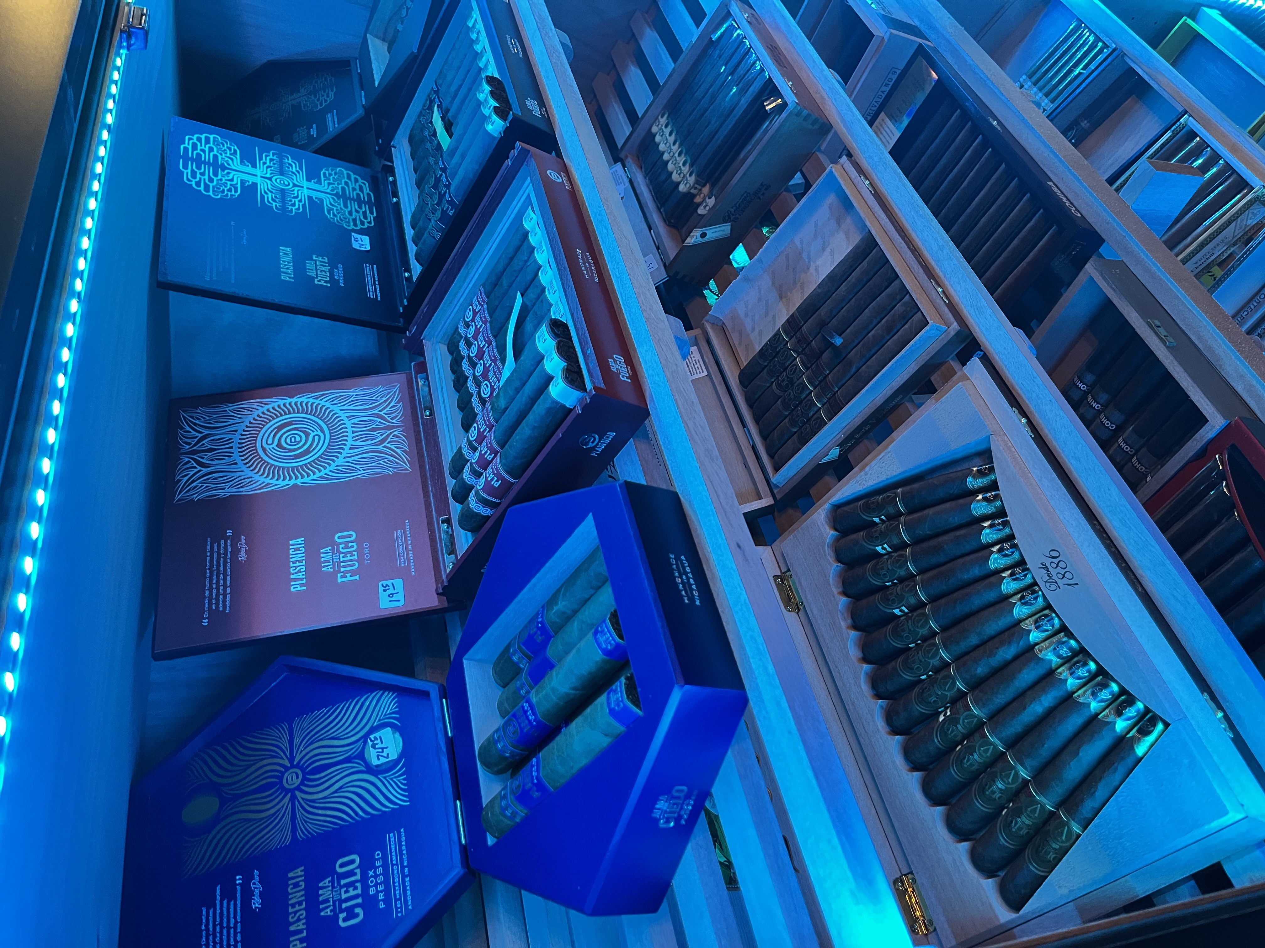 Open boxes of cigars on the humidor shelves